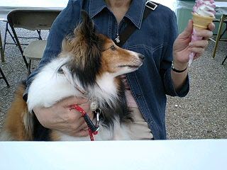f0210439_13291598.jpg