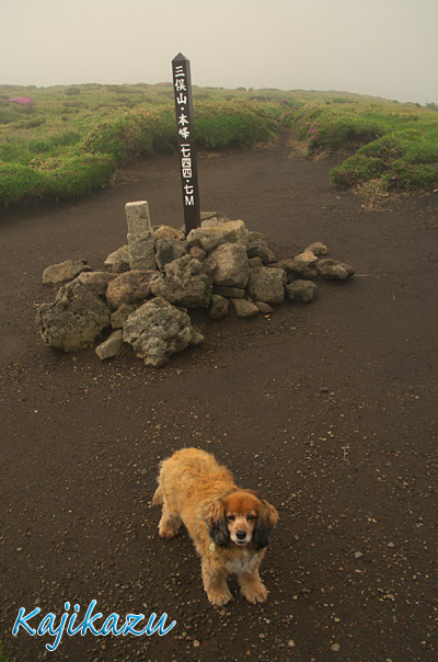 a0166940_1234816.jpg