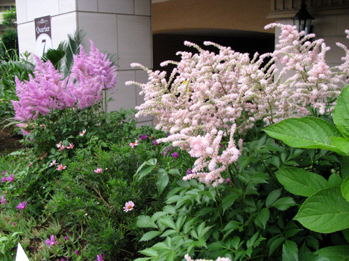 d0084750_2474527.jpg