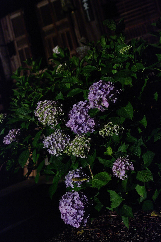 f0152550_22105912.jpg