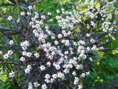 e0044855_18585932.jpg