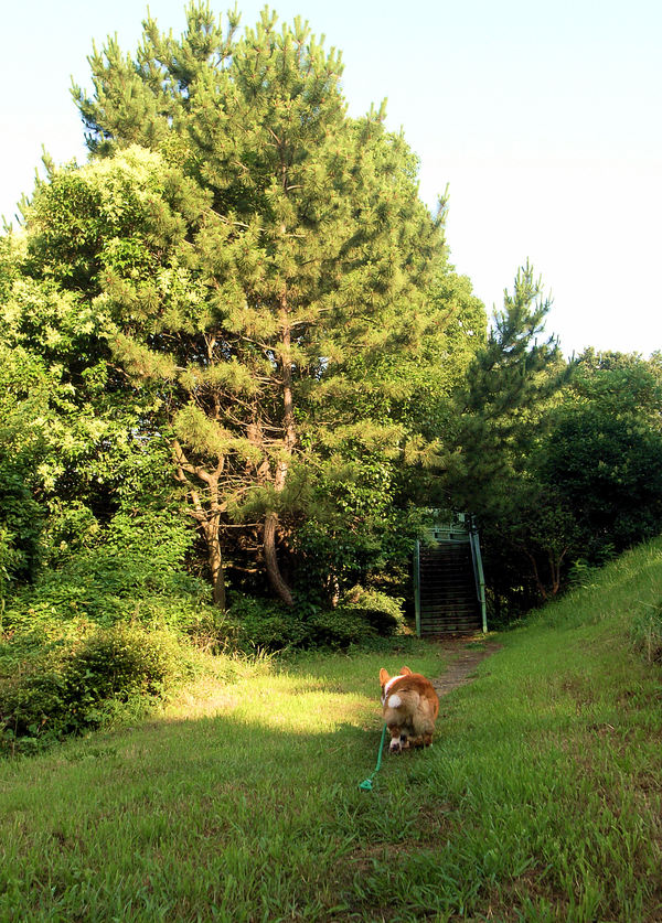 c0050857_8124594.jpg