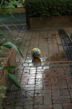 雨上がり_f0214858_20235839.jpg