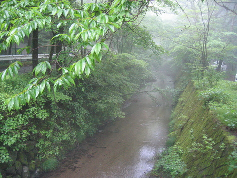 軽井沢の風景_a0157159_23251950.jpg
