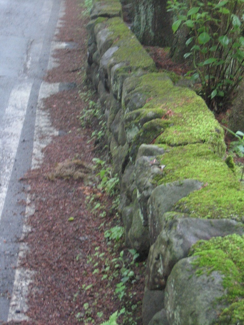 軽井沢の風景_a0157159_23272739.jpg