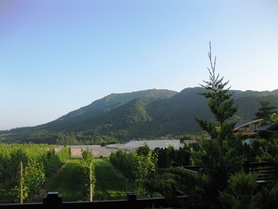 c0190960_20431797.jpg