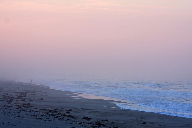e0220163_93387.jpg
