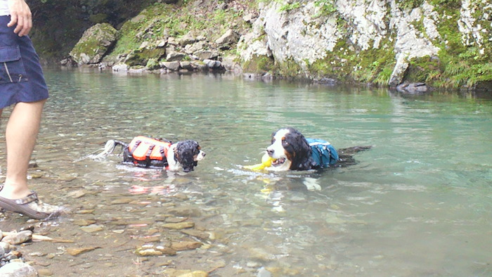 f0161964_15263010.jpg