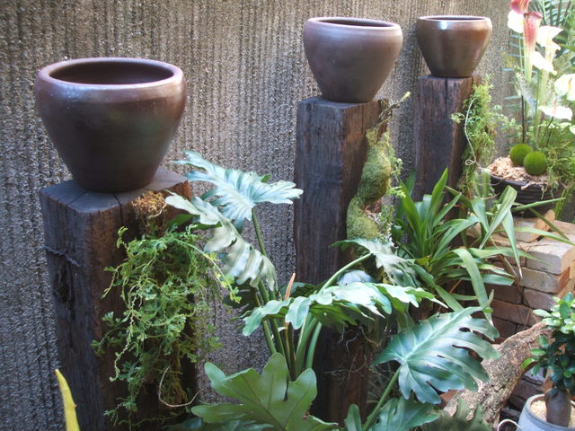 e0231465_14409.jpg