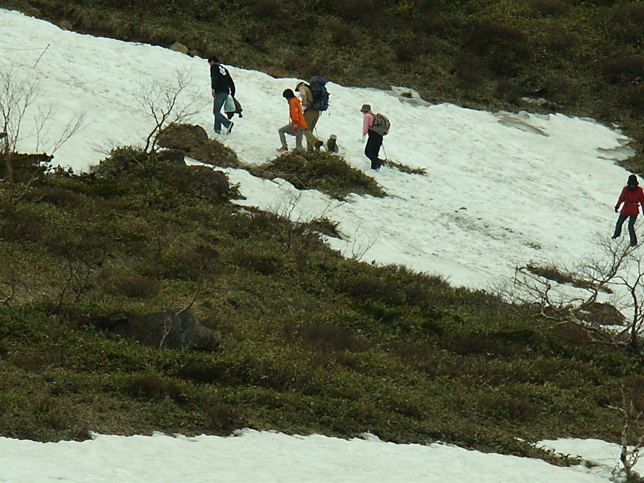 白馬連山の残雪　（白馬村）_a0023170_126496.jpg