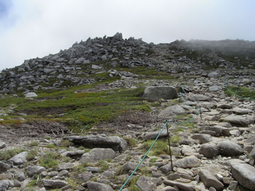 f0202271_00846.jpg