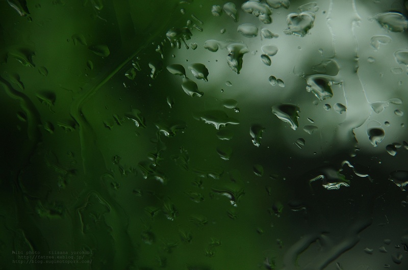 コラボ企画　「雨の休日」　サブタイトル「偽りの雨」_f0238775_1924157.jpg