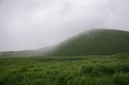 c0229483_811112.jpg
