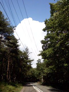 今年も折り返しです。_e0198187_18575529.jpg