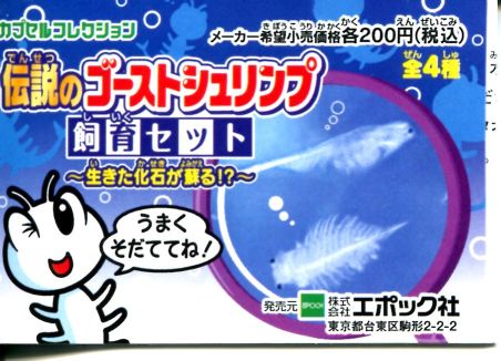オバケえび観察日記 夏 ~1日目~_f0236990_20455337.jpg