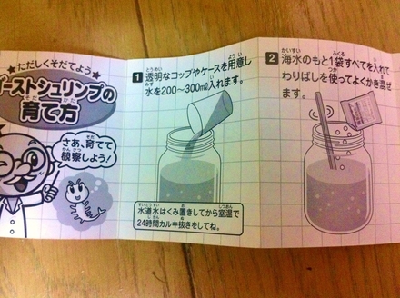 オバケえび観察日記 夏 ~1日目~_f0236990_20461632.jpg