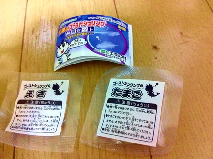 オバケえび観察日記 夏 ~1日目~_f0236990_20471920.jpg