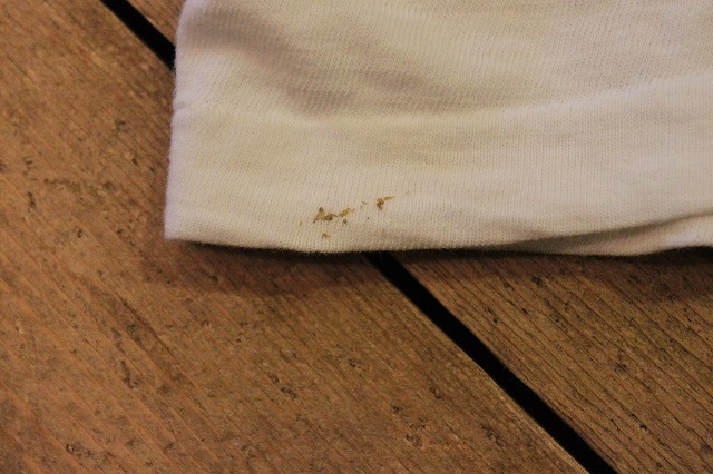 チャンピオンTee_d0121303_1344456.jpg