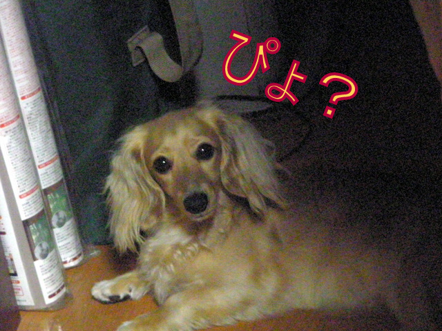 f0224506_14594034.jpg