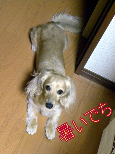 f0224506_1504990.jpg