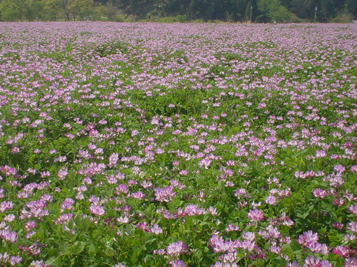 a0194908_1556349.jpg