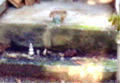 e0103408_07576.jpg