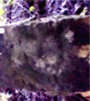 e0103408_082590.jpg
