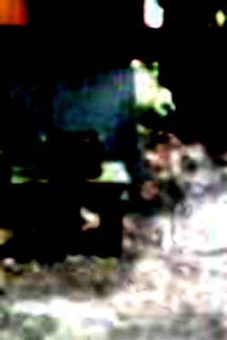 e0103408_20101849.jpg