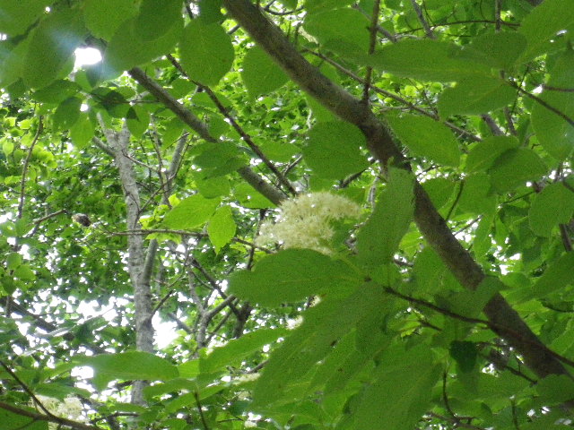7月_e0179508_10542243.jpg