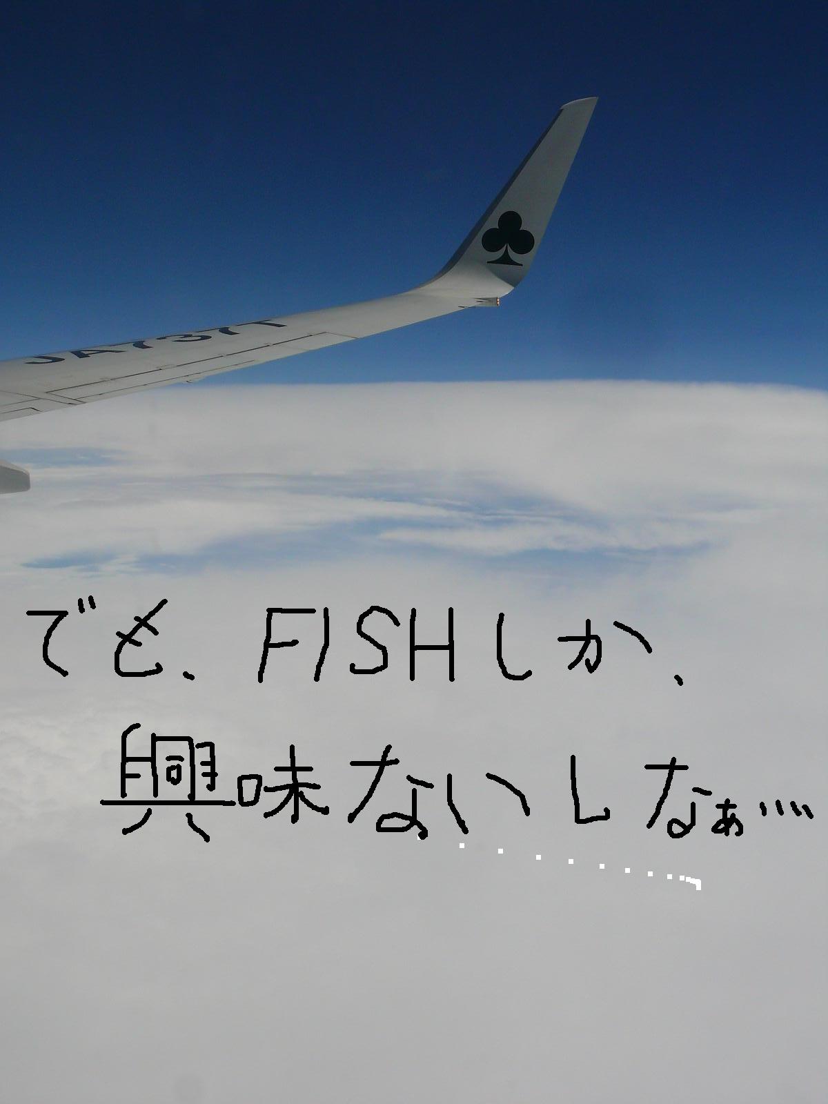 b0190921_2014349.jpg