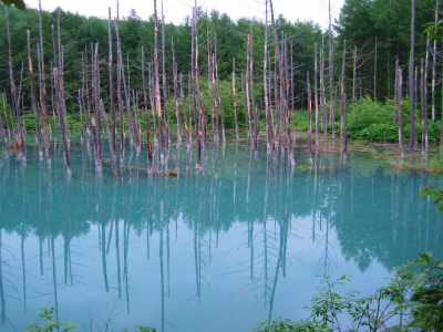 e0122024_11112954.jpg