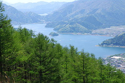 d0023725_8574184.jpg