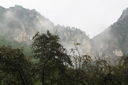 a0163227_0324139.jpg