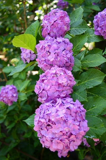 f0229832_16143131.jpg