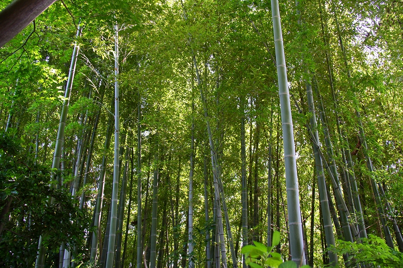 f0229832_1617910.jpg