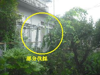 f0031037_21102777.jpg