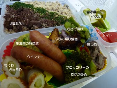 昨日・今日のお弁当_e0199740_17501559.jpg