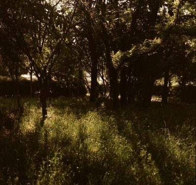 c0095644_5455641.jpg