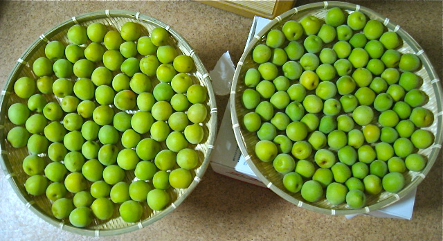 a0125045_23275526.jpg