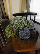 a0150050_3232061.jpg