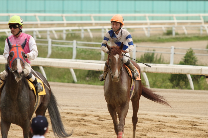 2011年6月26日（日） 福山競馬 6R 福山・高知連携円福寺シリーズ五戦 C1四_a0077663_9123545.jpg