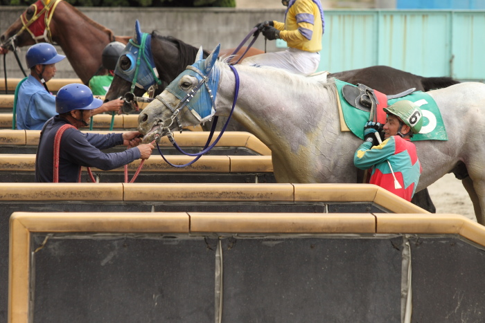 2011年6月26日（日） 福山競馬 6R 福山・高知連携円福寺シリーズ五戦 C1四_a0077663_9124119.jpg