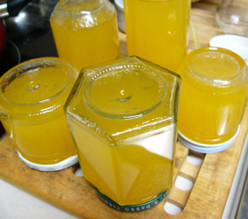 c0040472_12391855.jpg