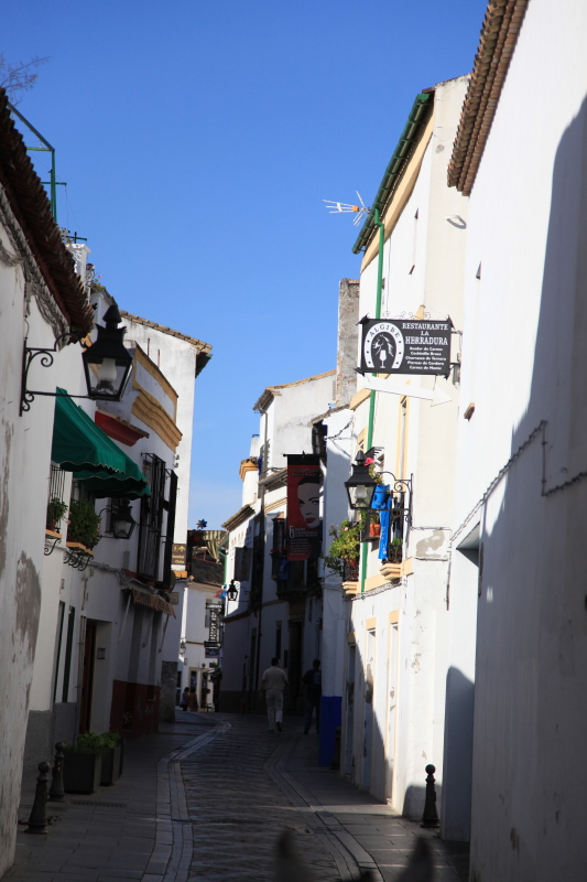 c0187779_833420.jpg