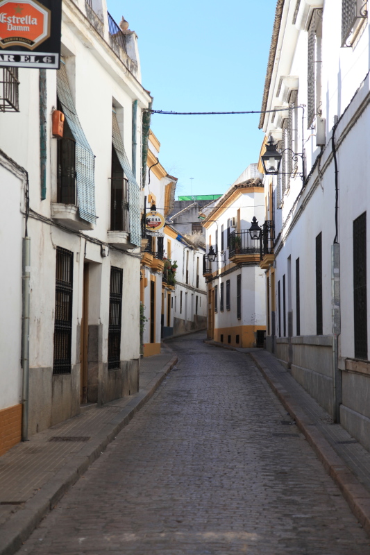 c0187779_873582.jpg