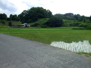 地図のいらない明日香_c0051781_22372118.jpg