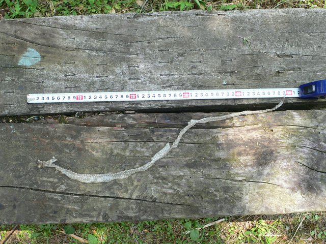b0042882_08232.jpg