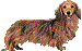 b0136683_7485886.gif