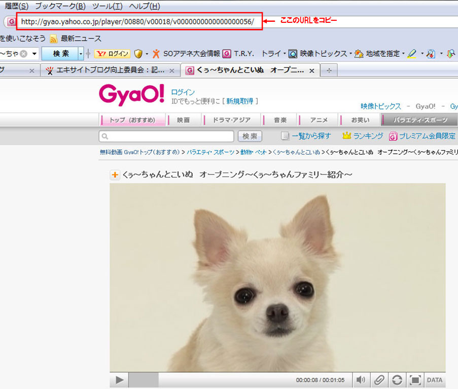 ブログ記事にGyao!動画が貼れるようになりました_a0029090_1275443.jpg