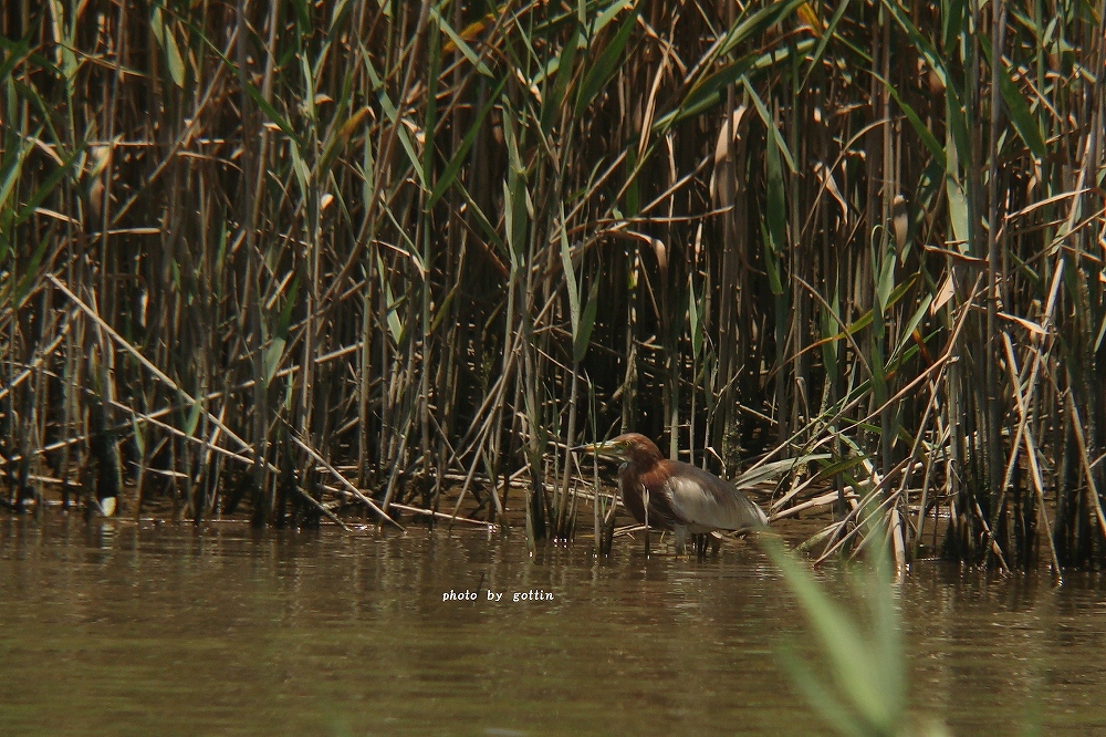 c0213690_161130.jpg